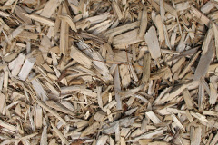 biomass boilers Ecclesall